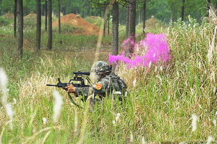 交战画面模拟图