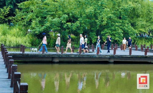 公园里悠闲的人们