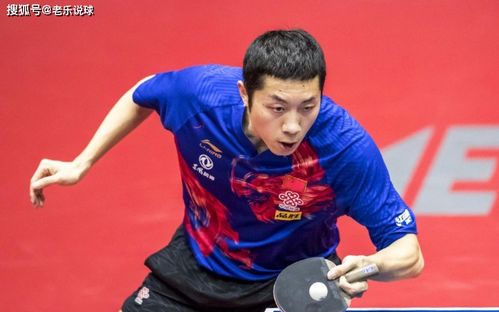 乒超联赛厦门开战，樊振东领衔众星闪耀