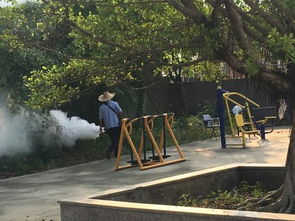 工作人员正在进行消杀蚊虫作业