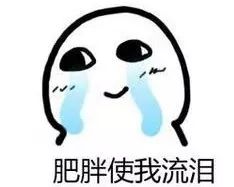 毕雯珺呀，你咋光顾着理罗伯特不理我呢？