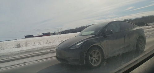 Model Y杀手们的败北？马斯克亲自出手扭转战局