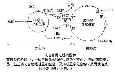 中欧携手合作，共绘世界稳定新蓝图