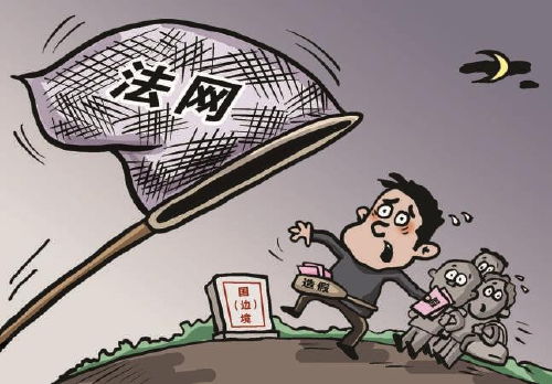 缅东电诈“猪崽”自述：那些不愿提及的真实