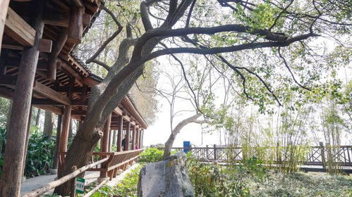 主播说联播 | 主播解读习主席会见欧盟领导人的生动比喻