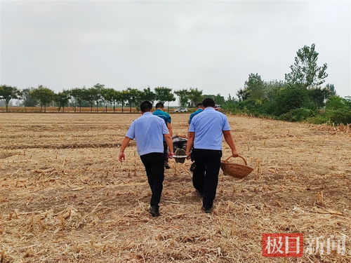 72岁农民获授时代楷模，她的传奇人生令人敬佩