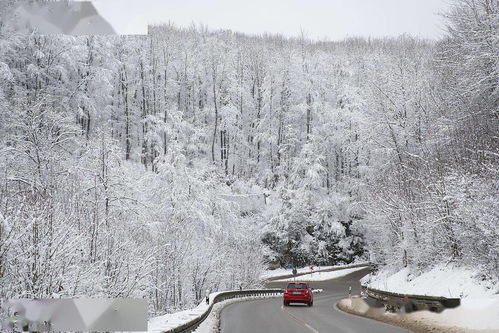 多家车企回应懂车帝测试，真相究竟如何？