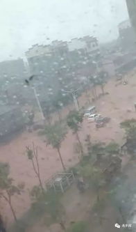 暴雨来袭！中央气象台持续拉响黄色警报