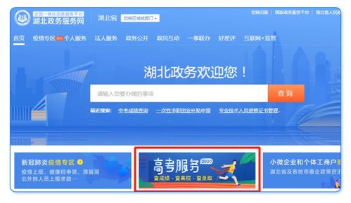 考生查询录取情况