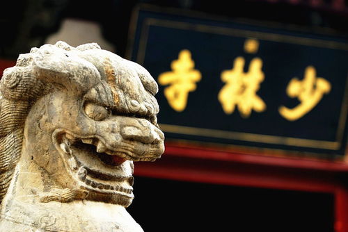 少林寺方丈释永信被传带走调查，少林寺官方回应来了！