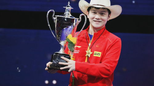 樊振东夺冠举起奖杯