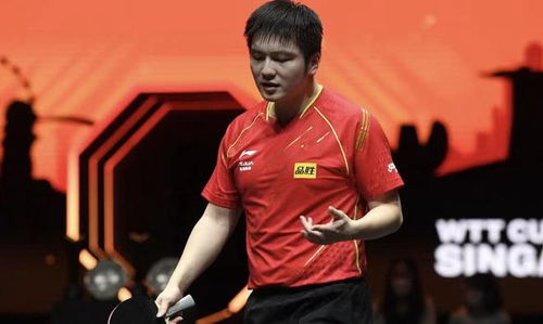 樊振东领奖时刻