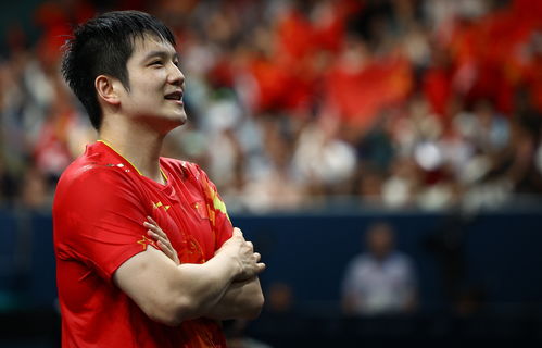 樊振东拿着国旗