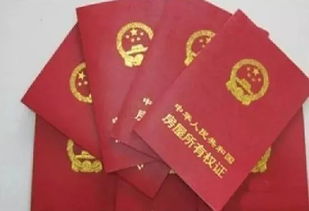 震惊！100万买房却不是自己的，中介虚假卖房26套诈骗2000万