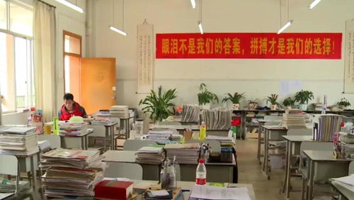 唐尚珺认真学习的样子