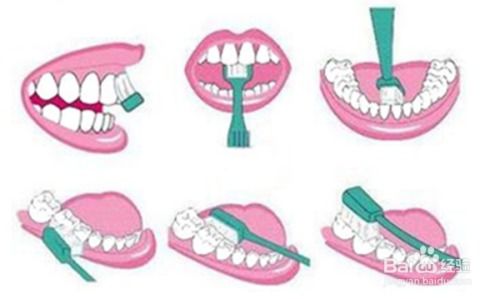 错误刷牙方式与正确方式对比图