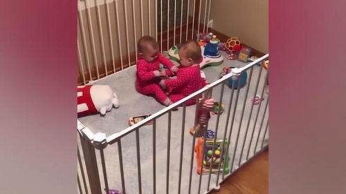 花千骨制片人回应《年轮》版权争议背后的故事