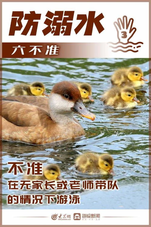 安全防溺水，让孩子平安过暑假