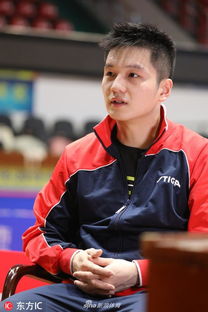 樊振东接受专访