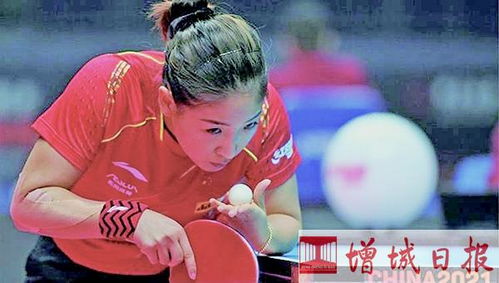 樊振东访谈完整版：国乒王牌的内心世界大揭秘！