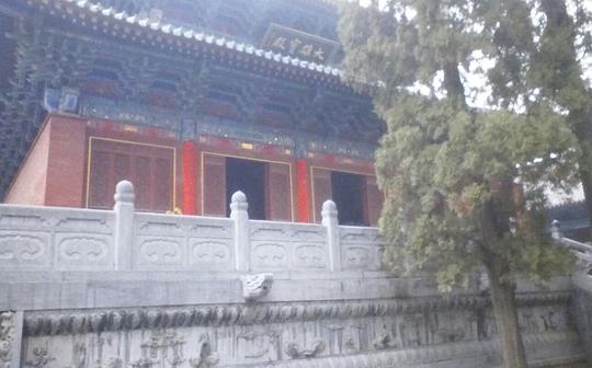 少林寺回应释永信方丈被带走传闻始末