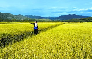 这些中国名片闪耀光芒，背后故事超精彩！