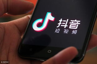 抖音界面上丰富多彩的视频内容