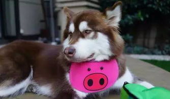 7/25吧友乐子大赏，这些趣事太上头啦😎