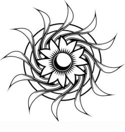 黑白花纹的伊蚊