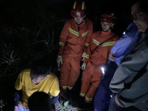 贵州一男子山中遇电野猪设备身亡，当地迅速行动