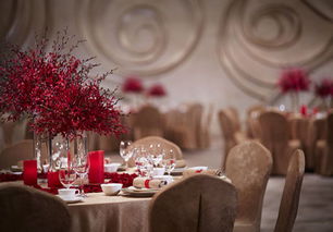 金龟子女儿婚礼，董浩亮相现场！