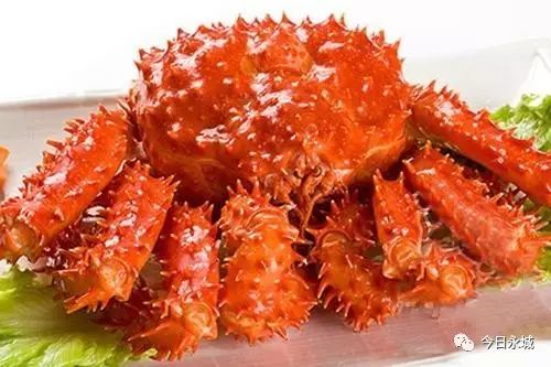 帝王蟹养殖基地