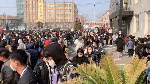 招聘现场排队等待面试的人群