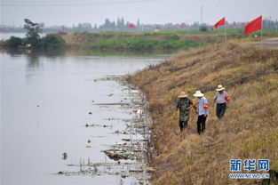 防汛抗旱，水利部门多举措保障安全