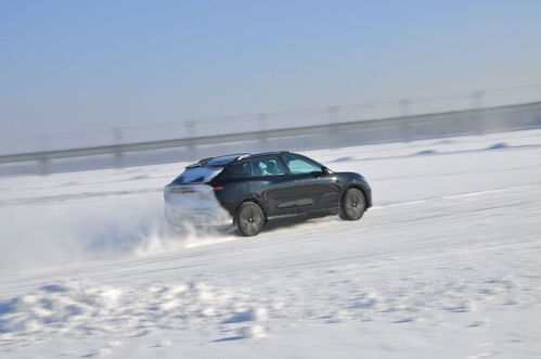 懂车帝智驾测试大揭秘！那些豪车的真实实力