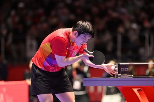 樊振东认真训练的样子