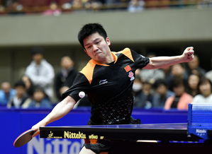 樊振东征战德甲！‘樊振东效应’席卷欧洲赛场