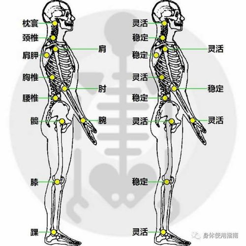 关节疼痛示意图