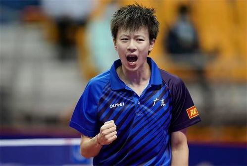 樊振东名人面对面：实力与魅力的完美碰撞