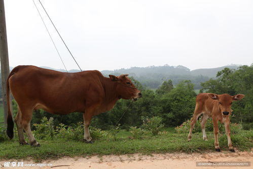 查处黄牛现场照片