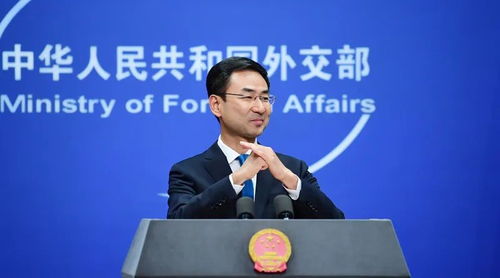 耿爽痛批美国，美国真该脸红！