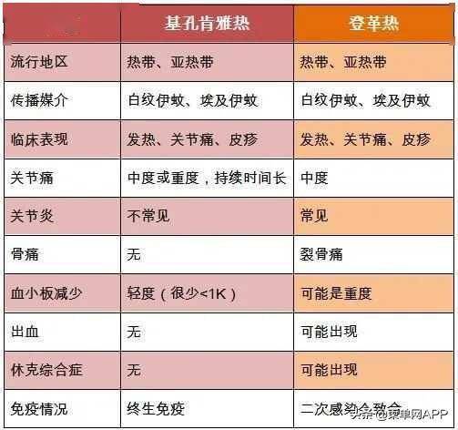 基孔肯雅热后遗症知多少？一文读懂！