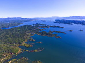 密云水库开闸泄流，鱼群随水奔涌而出的壮观景象