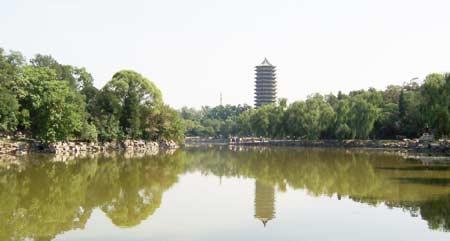 那些悄然火热的大学专业，你了解吗？