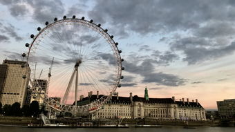 沈佳润谱写《美美桑内》中文版歌词背后的奇妙故事