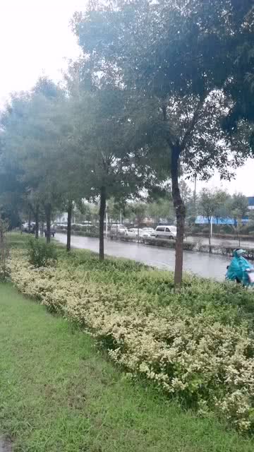 北京两区暴雨橙色预警！周末别往山区跑