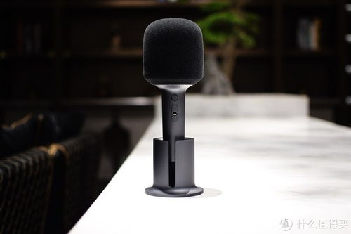 麦克风