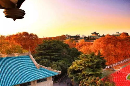 武大诬告女持续威胁受害者，背后真相令人震惊！