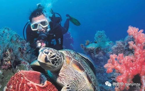 卡德罗夫突发溺水事故被紧急送医，背后真相令人震惊！