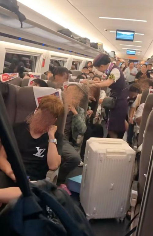 网友怒怼8小时高铁之旅被打扰7小时，12306回应来了！